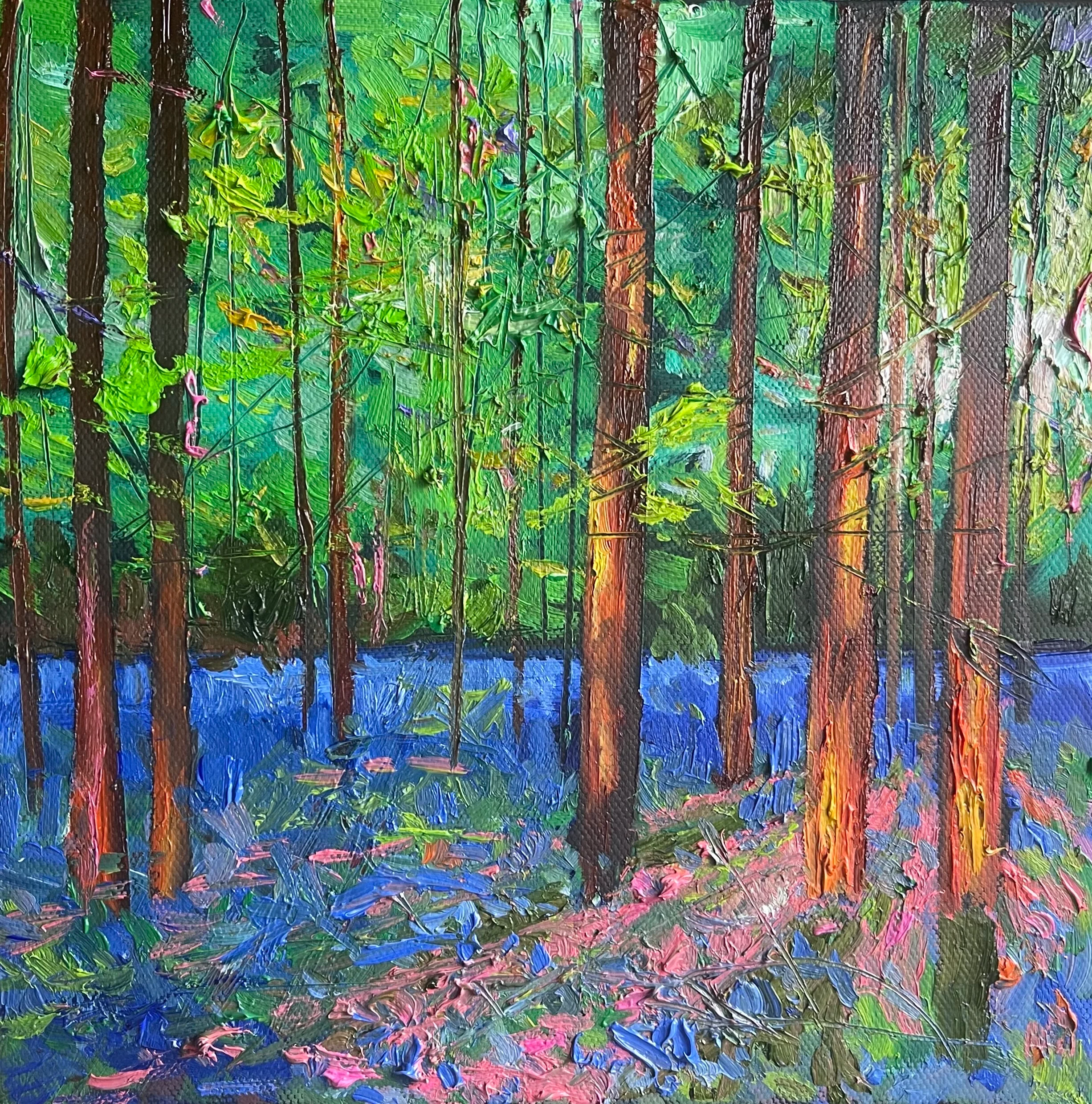 ‘Light on the Bluebells’