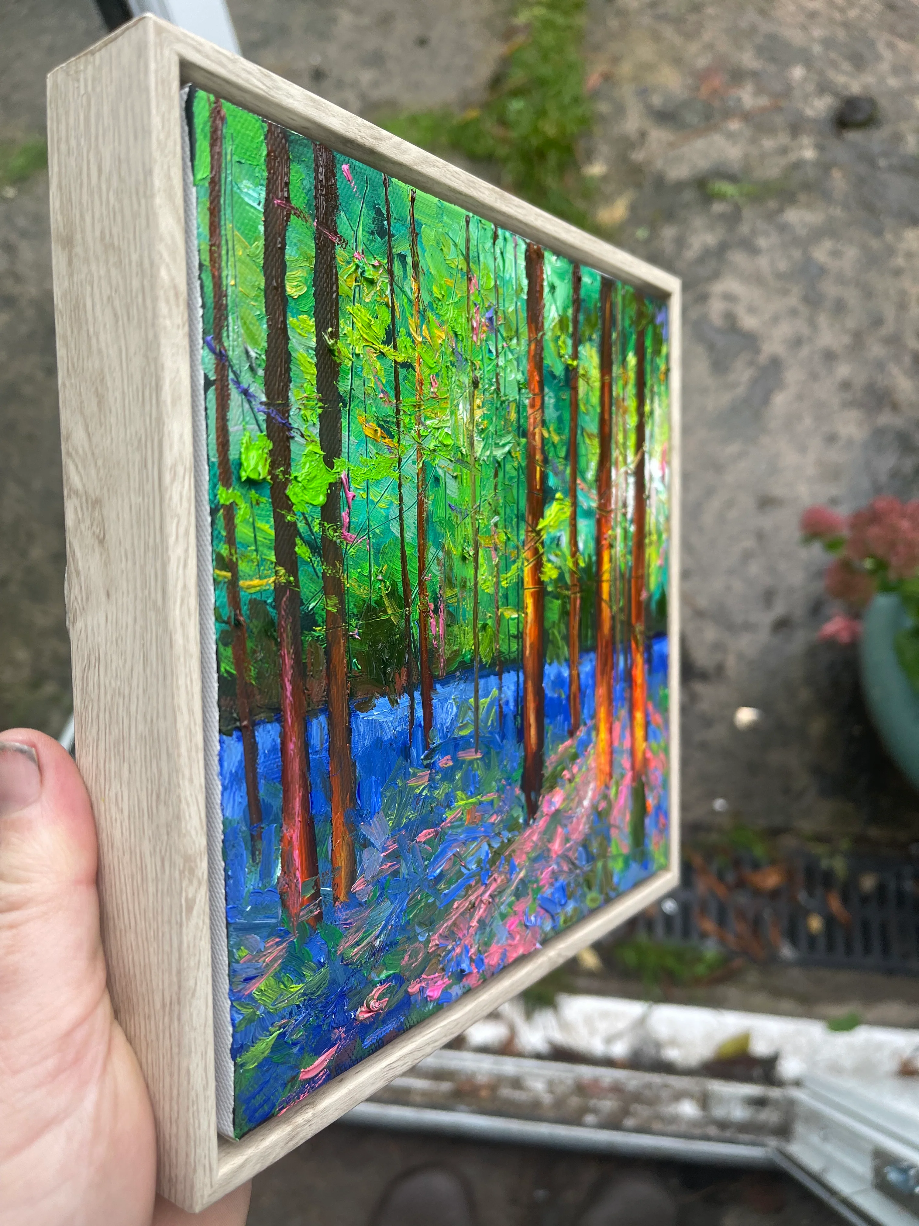‘Light on the Bluebells’ - Image 3