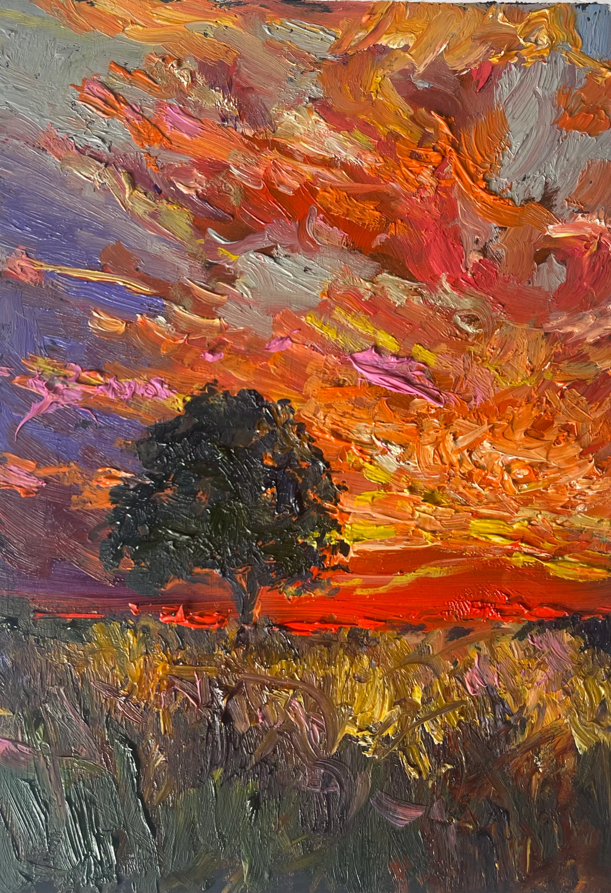 Sunset behind the oak tree