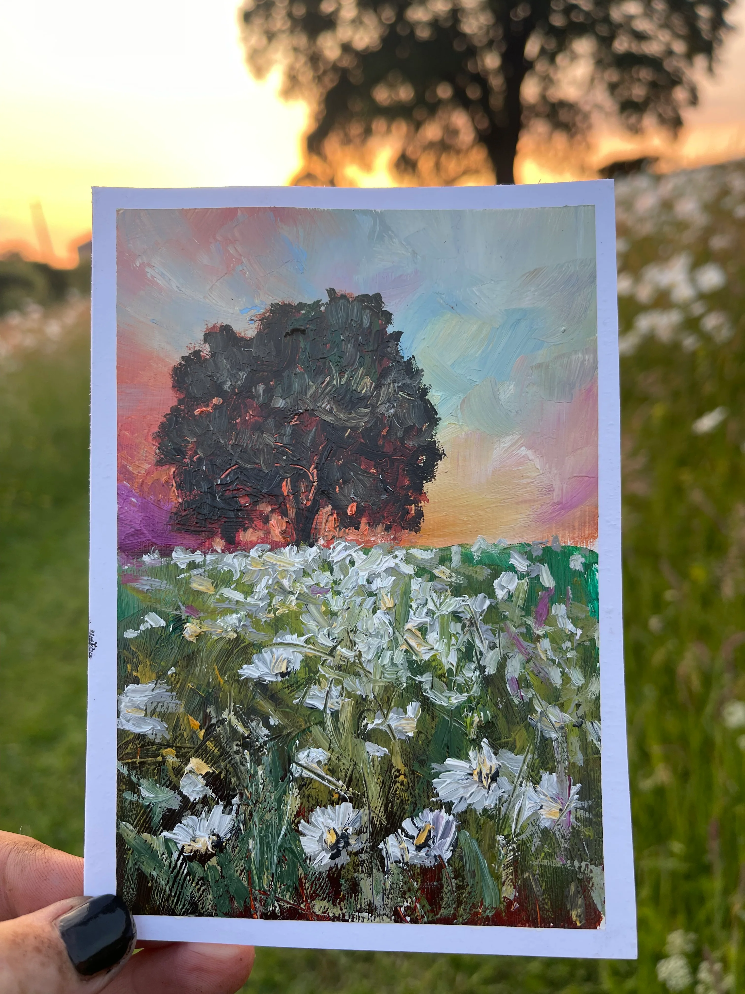 Sunset behind the Oak tree - Image 2