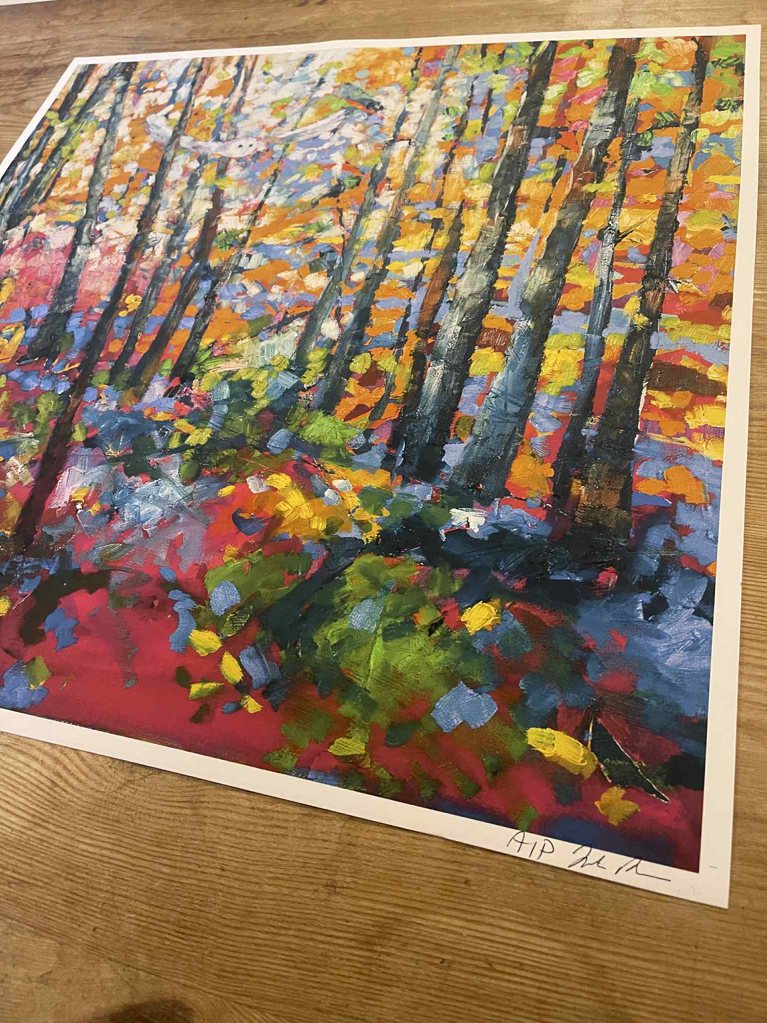 'Swoop' Artists Proof Print Signed By Julie - Large - Image 2